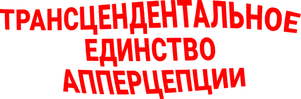 Трансцендентальное единство апперцепции