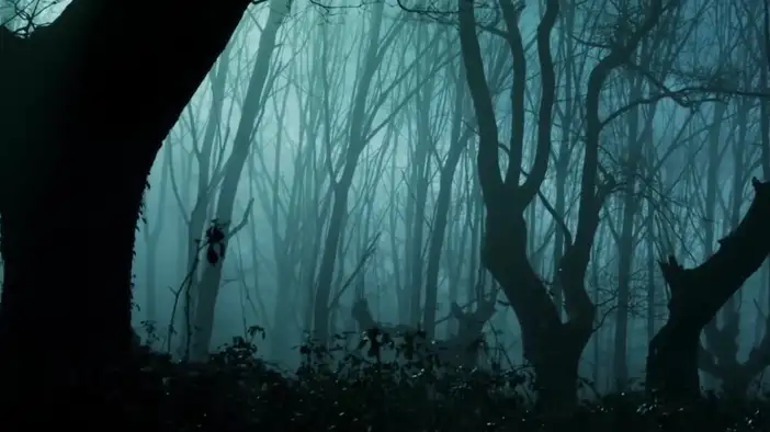 Трейлер 2 (испанский язык)