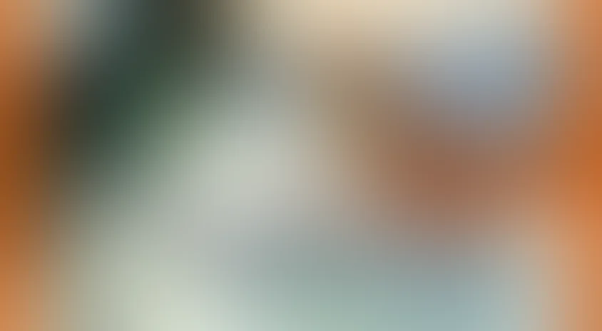 Лиса и Волк