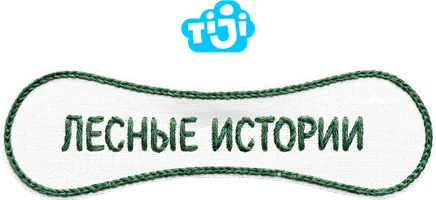 Лесные истории