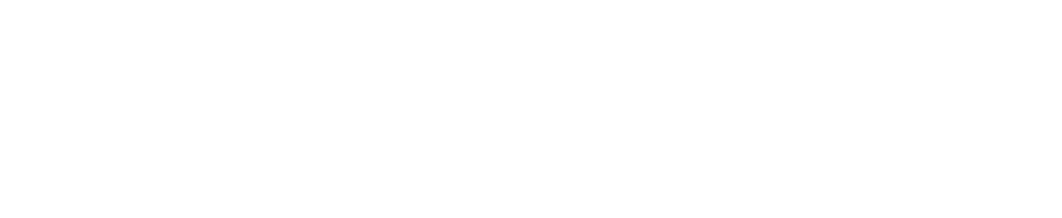 Тени в тумане