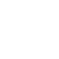 СТС Love
