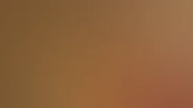 Ослиная шкура