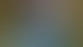 Дети Дон-Кихота