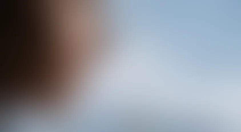 Кроличья нора