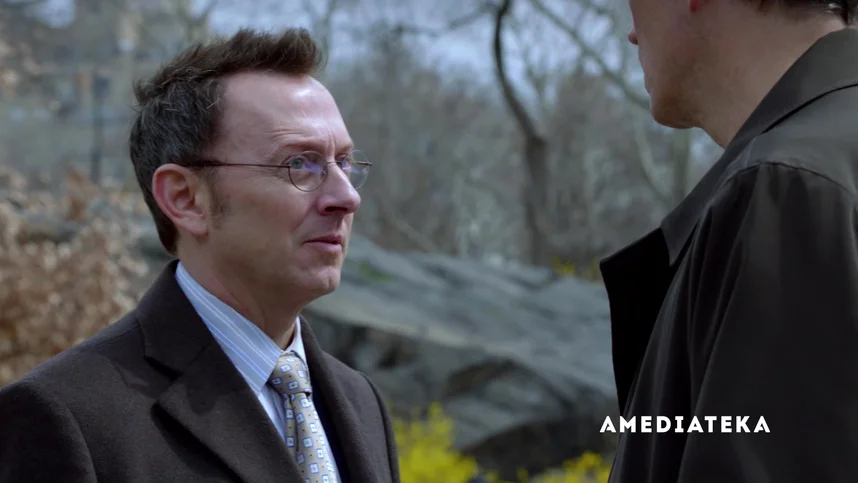 В поле зрения