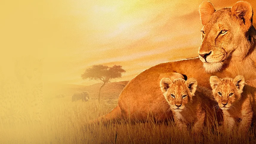 Африканские кошки: Королевство смелых