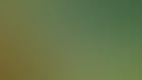 Утренняя зарядка