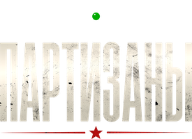 Партизаны