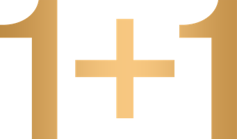 1+1 (Фильм, 2011)