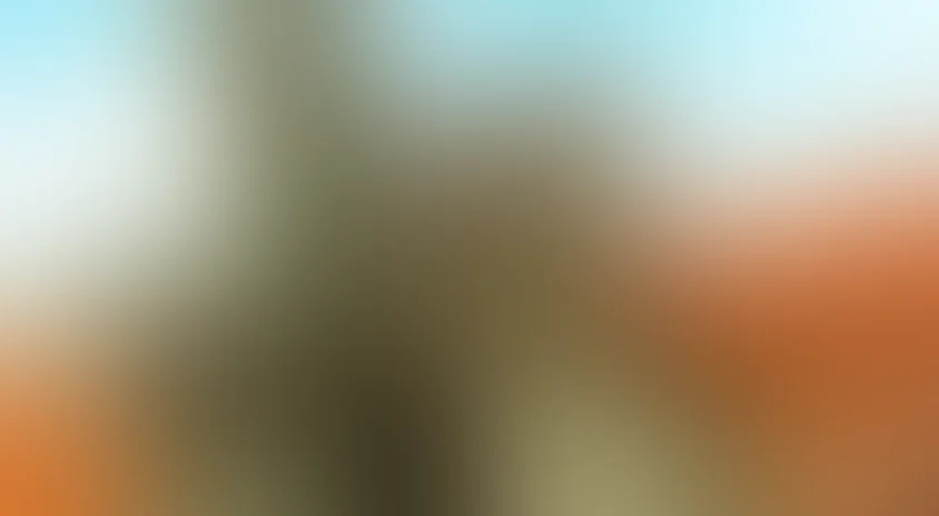 Однажды в Америке, или Чисто русская сказка