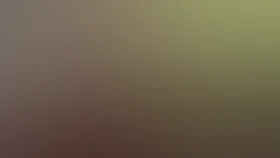 История Элли