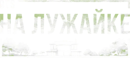 BTS на лужайке