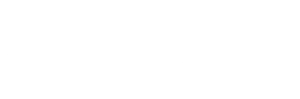 Солист