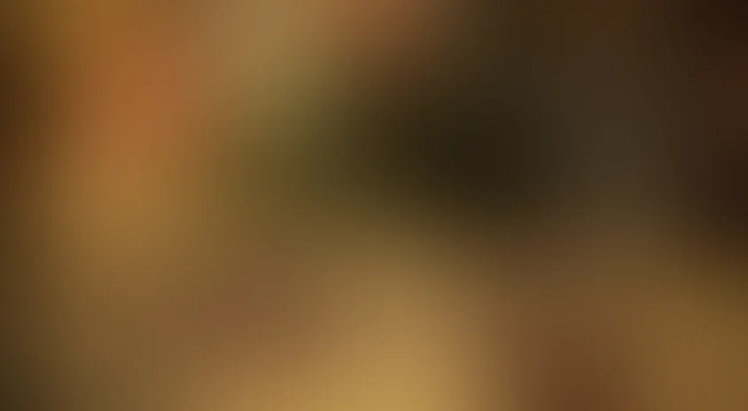 Объявлены в розыск