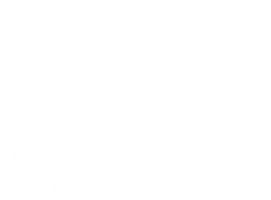 Евгений Онегин