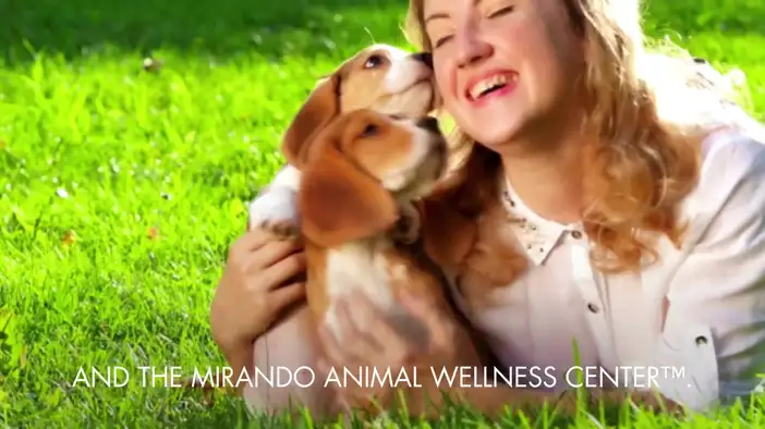 Промо-ролик (английский язык)