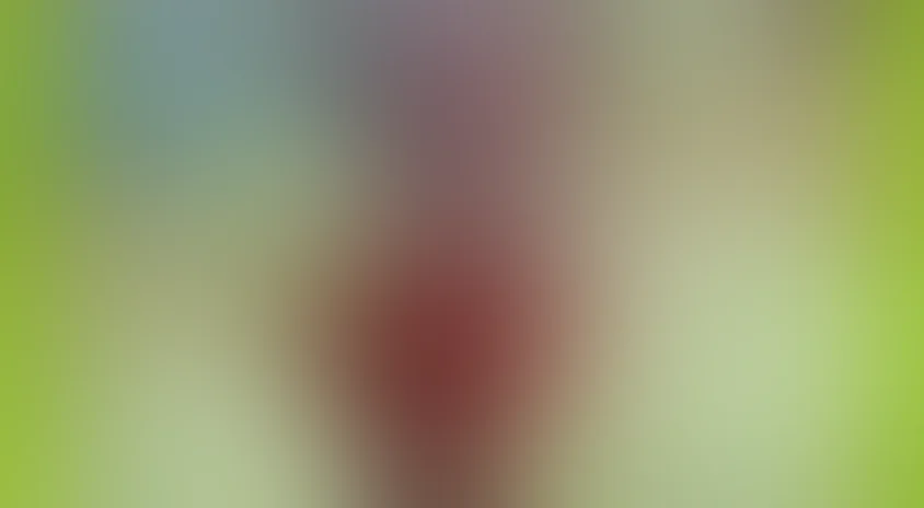 Пришелец в капусте