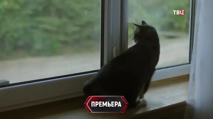 ТВ-ролик (2 сезон)