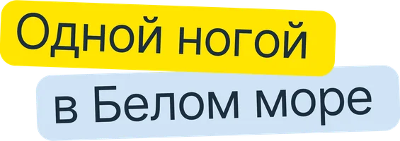 Одной ногой в Белом море (фильм 2024)