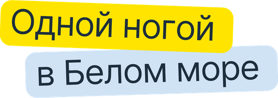 Фильм Одной ногой в Белом море