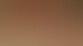 Дама с попугаем