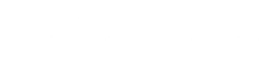 Опыт реконструкции