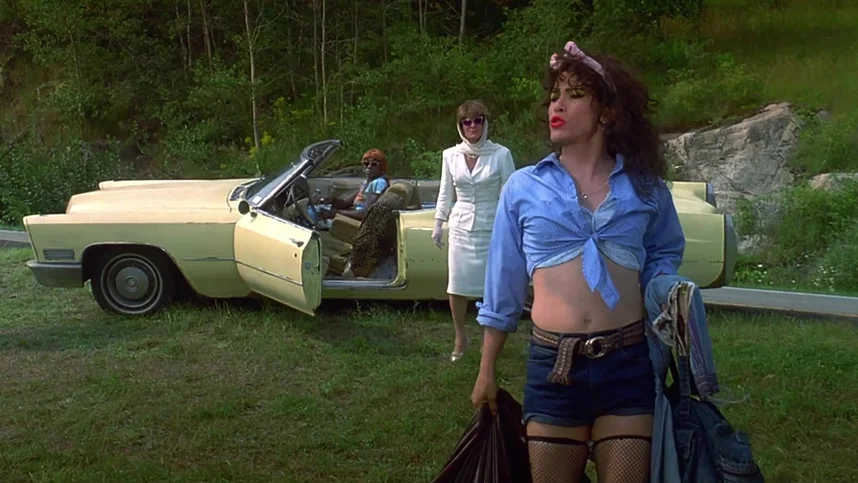 Вонг Фу, с благодарностью за всё! Джули Ньюмар