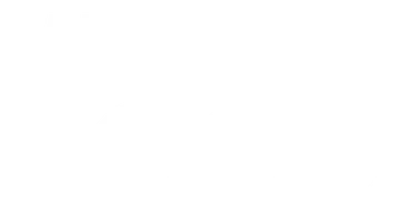 Замкнутый босс