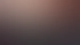 Старое ружье