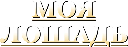 Фильм Моя лошадь