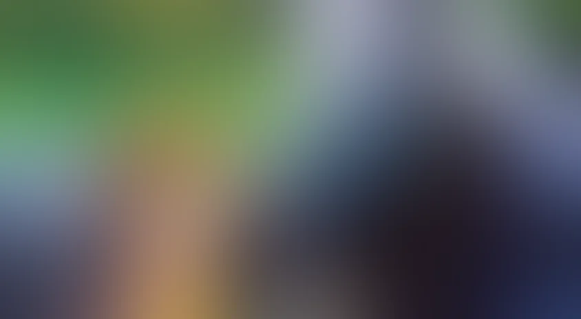 Черный красавец