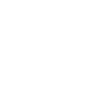 ТНТ MUSIC