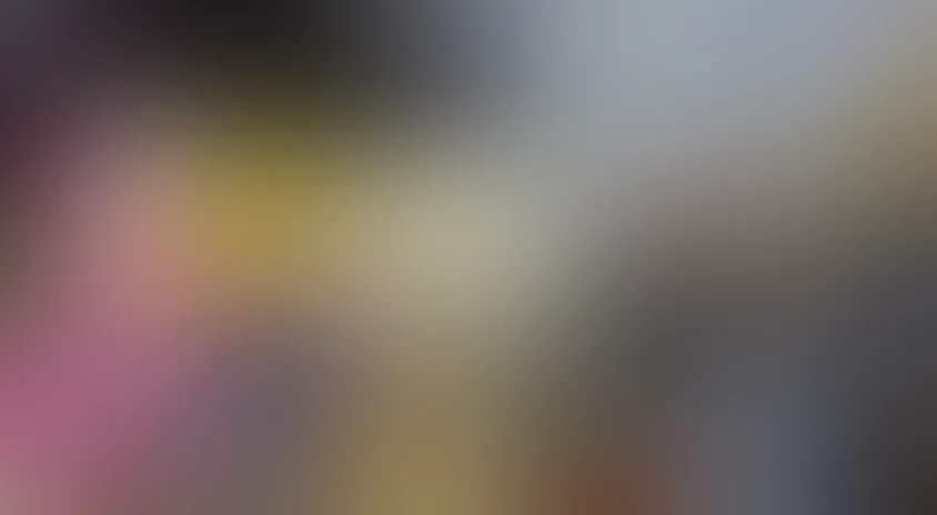 Возвращение блудного попугая