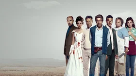 Дикие истории