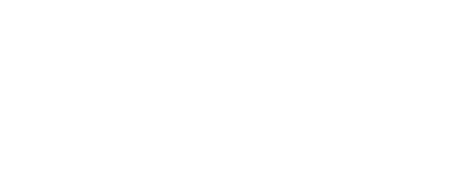 Смерть за монету и другие глупые причины для убийства. Дневники Лоры Палны