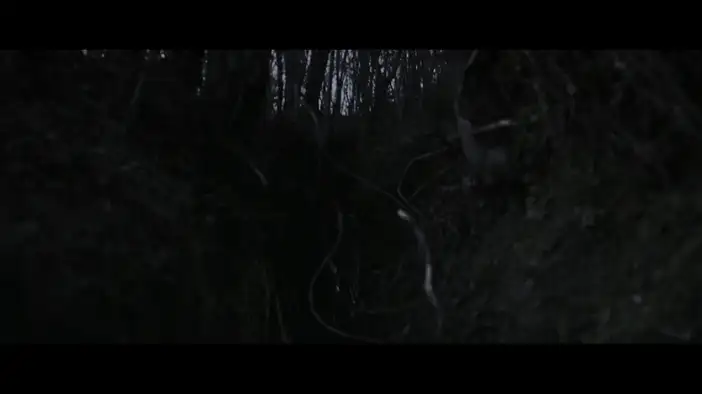 Трейлер (дублированный)