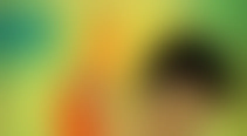 Рикки-Тикки-Тави