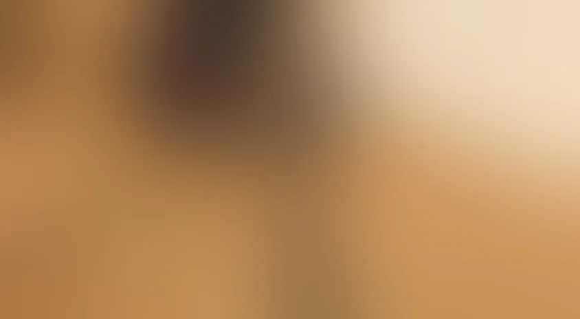 Диктатура секса