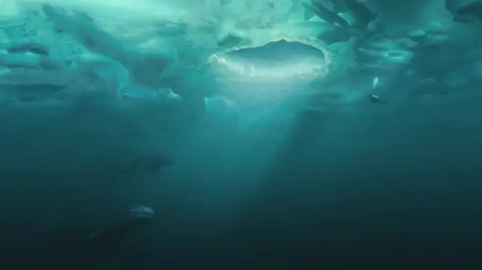 Трейлер (русский язык)