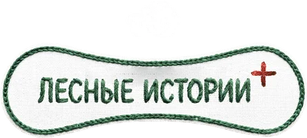 Лесные истории Плюс