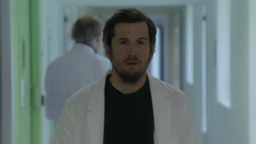 Любовь и пингвины