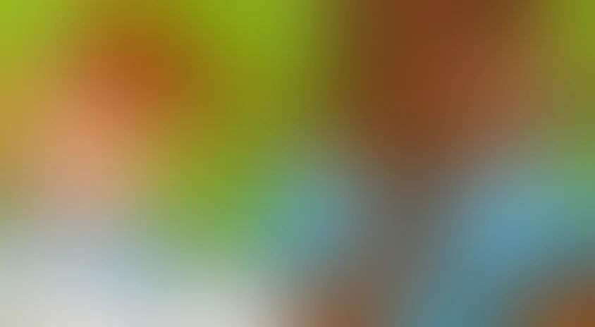 Пословицы и поговорки