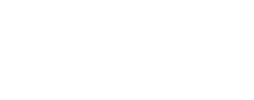 Смерть на пике славы. Дневники Лоры Палны