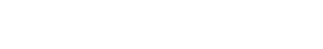 Братья Блюз