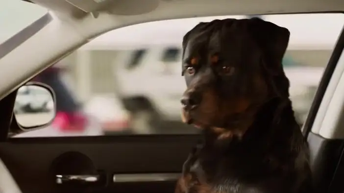 Трейлер 2 (английский язык)