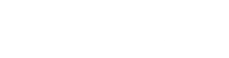 Пират и герой. История с Artifex