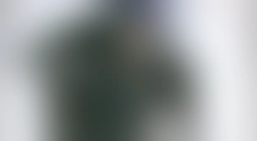 Призрак в доспехах: Синдром одиночки