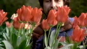 Jorj Xarrison: Moddiy dunyoda hayot