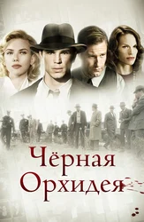 Chitada jiddiy tanishish